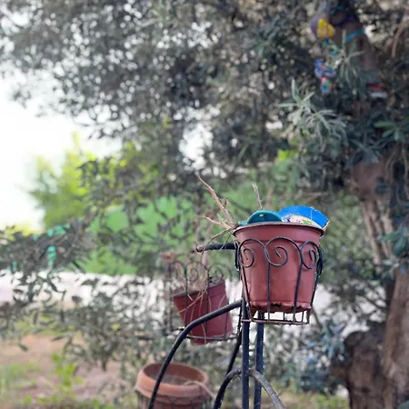 With Private Pool In Alacati Villa *