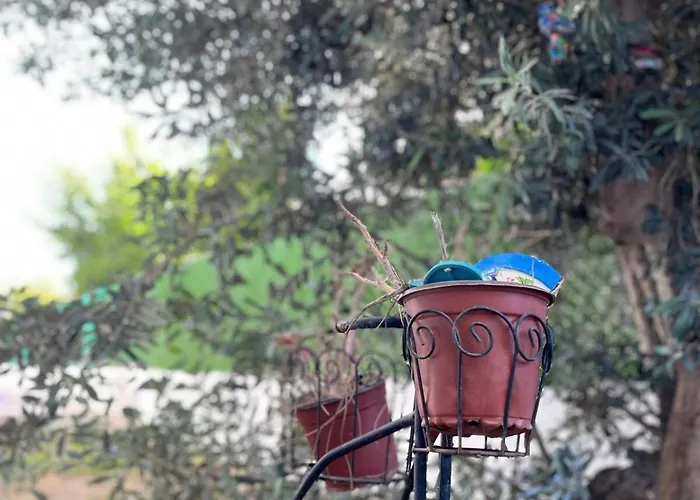 With Private Pool In Alaçatı Villa *